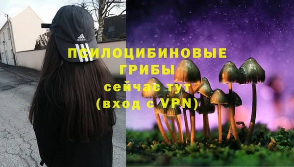 индика Армянск