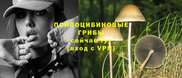 гашиш Арсеньев