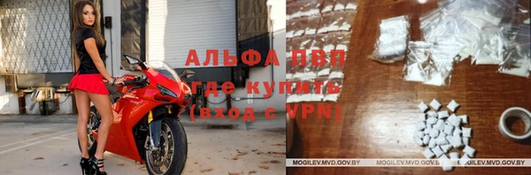 индика Армянск